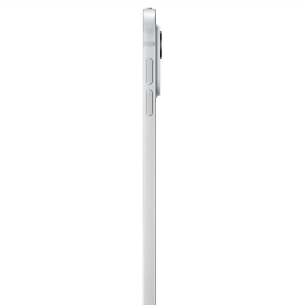 Планшет iPad Pro 13 M4 2024 Wi-Fi + Cellular 1TB Silver with Nano-texture Glass (MWT03) 246316 фото