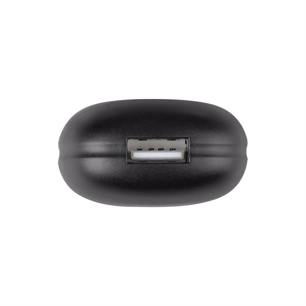 Зарядний пристрій Borofone BA49A 2.1A + кабель Lightning Чорний (Black) 97970 фото