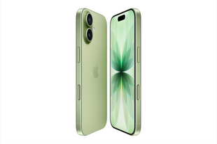 Смартфон Apple iPhone 17 256Gb eSIM Sage (MG4A4/MG6C4) 183445 фото