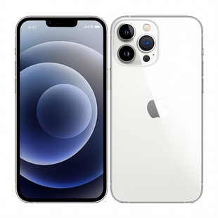 Смартфон Apple iPhone 13 Pro 1TB SIM+eSIM Silver (MLVW3/MLUA3) 184142 фото