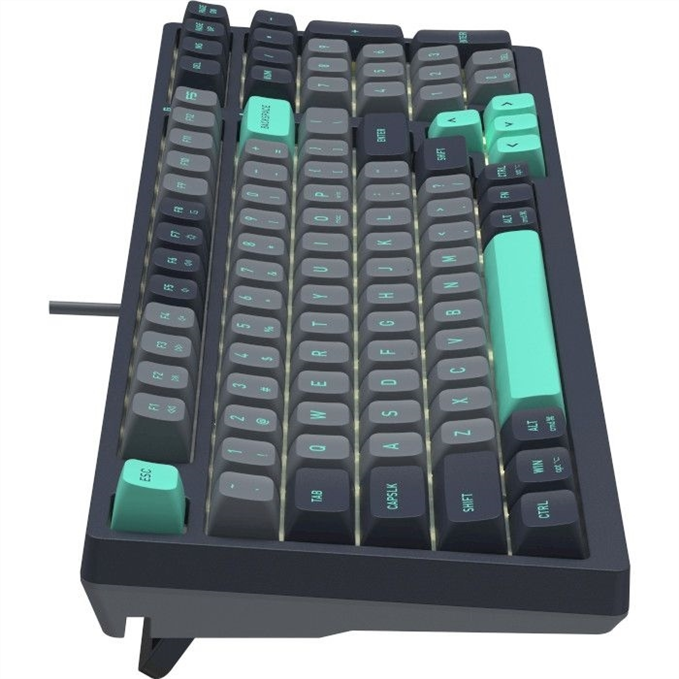 Клавіатура A4Tech Fstyler FS300 Panda Rock Climbing Чорна (Black) 165704 фото