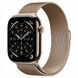 Смарт-годинник Apple Watch Series 12 GPS 46mm Dark Bronze Aluminum Case with Dark Bronze Milanese Loop - M/L (MKD84) 268983 фото 1