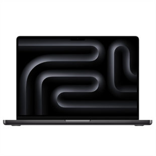 Ноутбук MacBook Pro 14" M4 10CPU/10GPU/16GB/1TB (MW2V3) Чорний (Space Black) 189291 фото