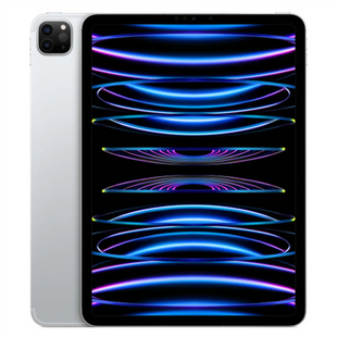 Планшет iPad Pro 11 2022 Wi-Fi+LTE 2TB Silver (MP5H3/MNYM3) 206959 фото