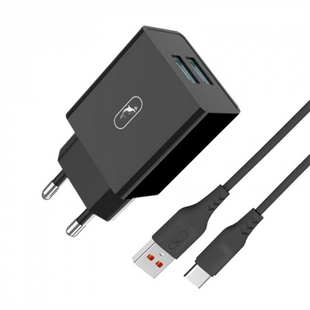 Зарядний пристрій SkyDolphin SC30T (2USB, 2.1A) (SDMZP-000171) + кабель USB Type-C Чорний (Black) 165806 фото