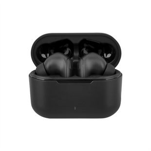 Бездротові навушники вкладиші Panasonic RZ-B310WDG-K Чорні (Black) 129616 фото